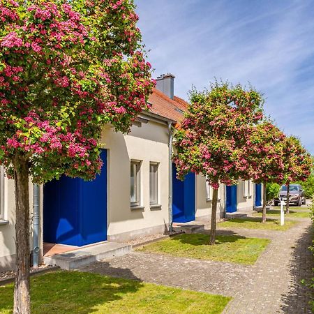Apartment Biber Mit Terrasse Dewichow Exterior photo