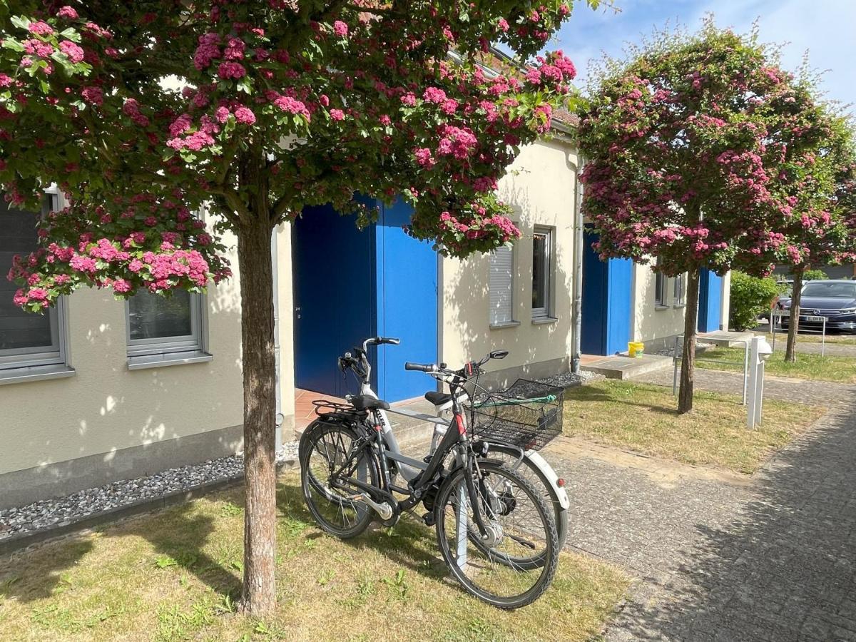 Apartment Biber Mit Terrasse Dewichow Exterior photo