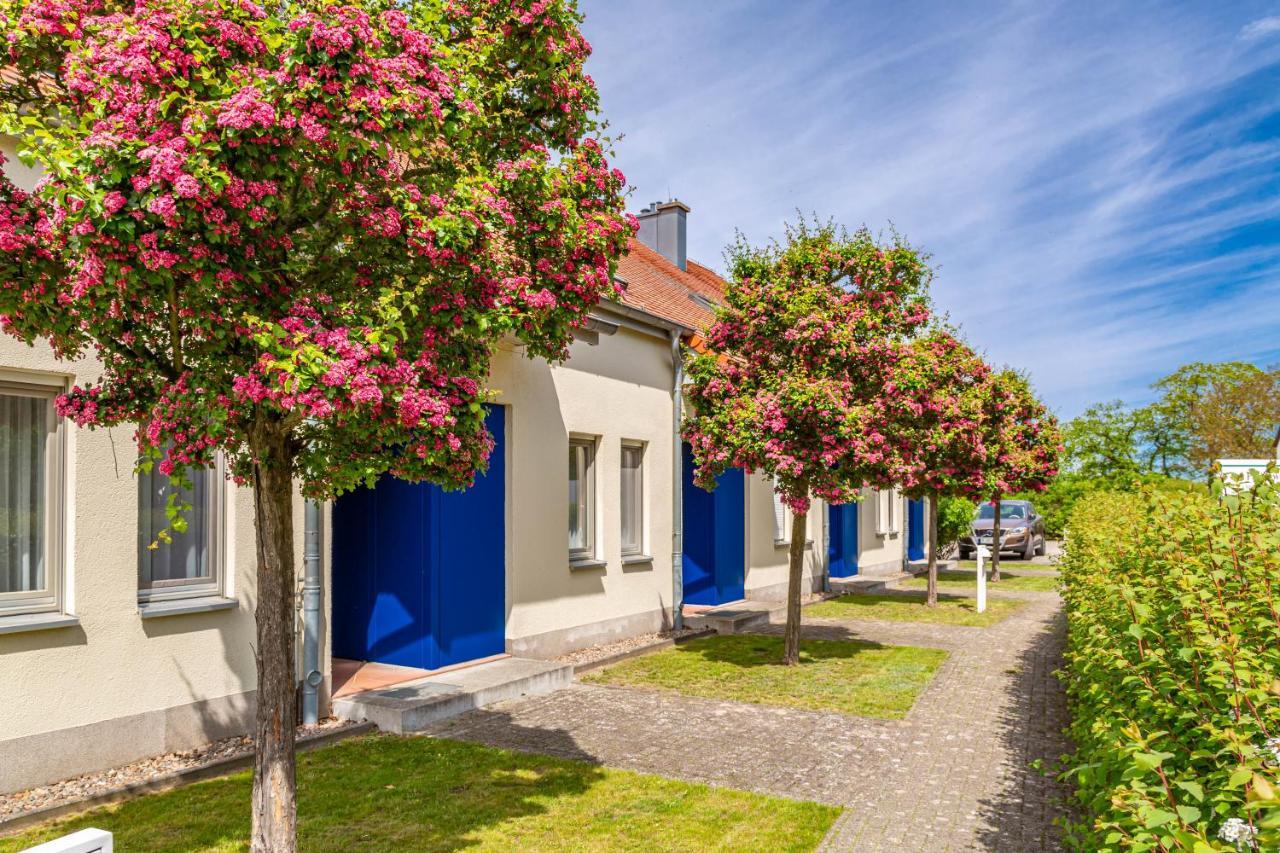 Apartment Biber Mit Terrasse Dewichow Exterior photo